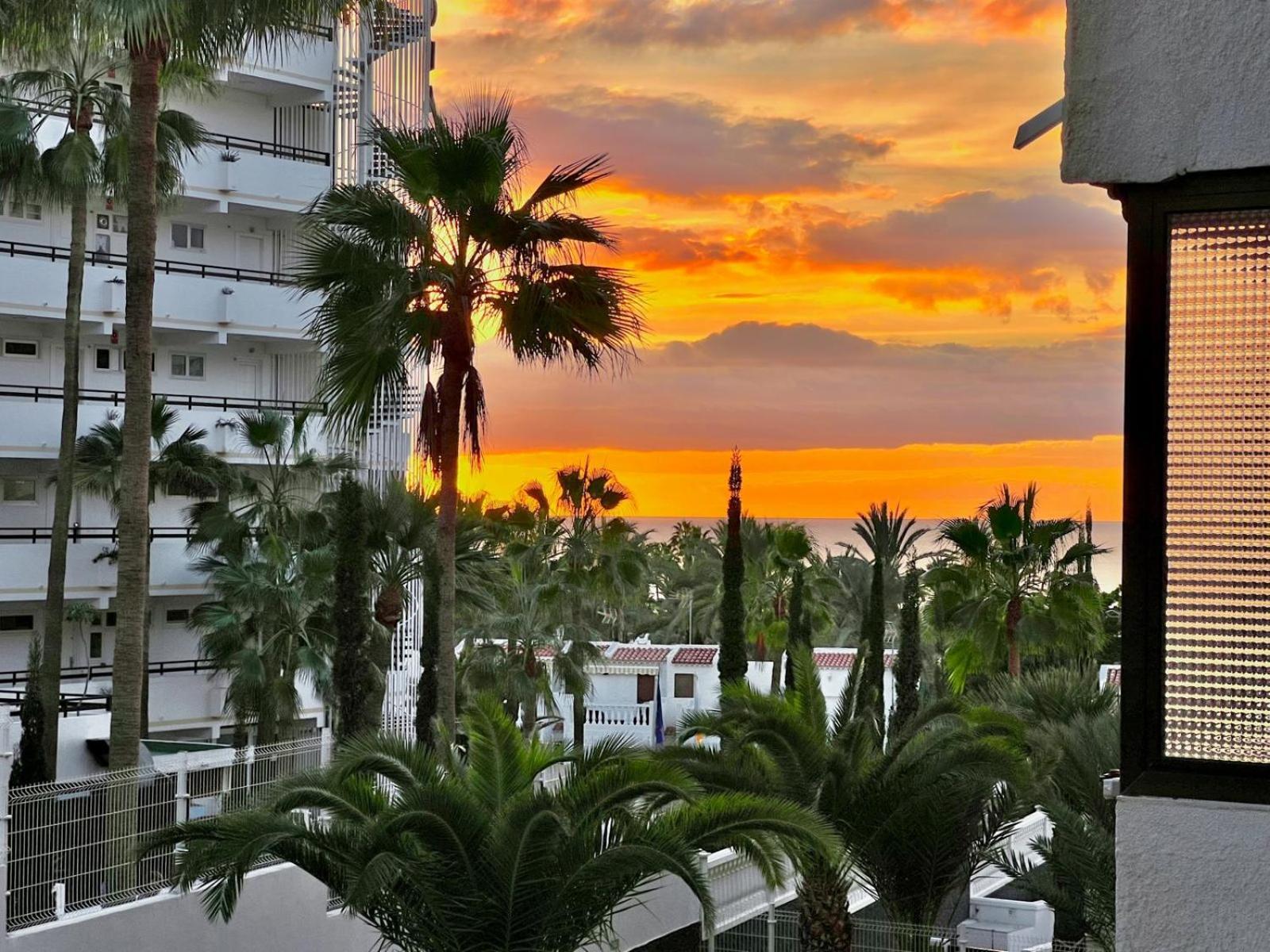 Olympia Palmalicious Apartment Playa de las Americas  Exteriör bild